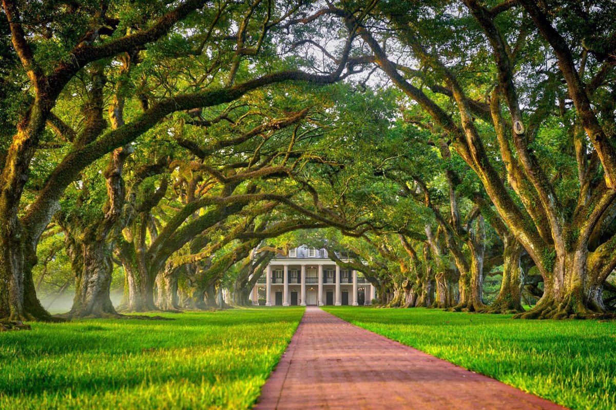 Oak alley 1